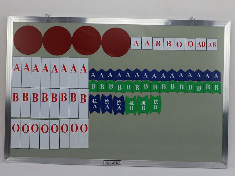 ABO血型磁性演示塊