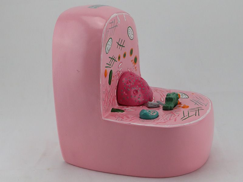 細胞亞顯微結構模型