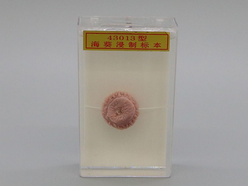 ?？茦吮?>
			<strong class=